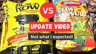 Black Kow VS Hoffman Cow Manure Comparison UPDATE