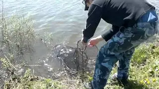 Улов.