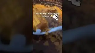 I eat all day 🗣🗣🔥🔥🔥