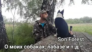 О моих собаках, лабазе и т.д