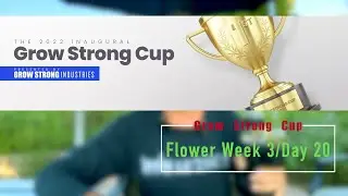 Grow Strong Cup - Flower Week 3/Day 20