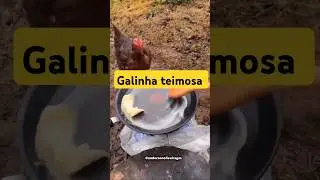 NEM ERA VOCÊ #shorts #memes