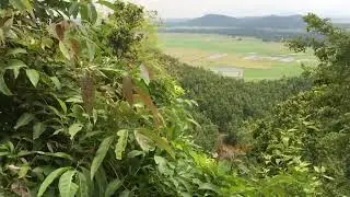 view