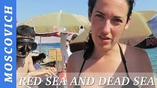 The Red Sea, Snorkeling And the Dead Sea - Our Trip To Israel Part IV  // Our Family Vlog - # 25