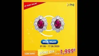 Trang Suc Gold Music