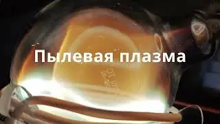 Dusty Plasma Vortex Within Toroidal Electrodeless Ring Discharge  - Galaxy In A Jar