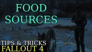 Fallout 4 - Survival Early Food Sources (Tips & Tricks)