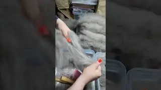 5 июня 2024 г.