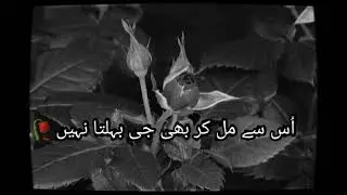 WhatsApp  Status | Urdu Poetry | Shayari | Shamsa Kanwal Poetry