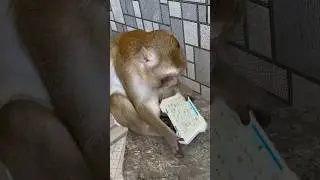 Разговорчики