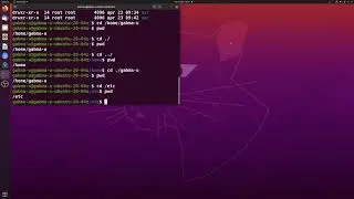Introduzione Al Terminale Linux E Alle Pagine Man