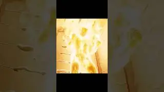 Земля может сгореть из-за этого😨