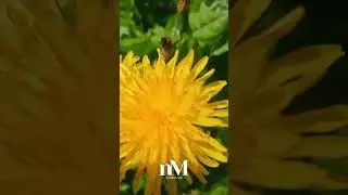 Ранкова молитва Молитва за захист Україи 