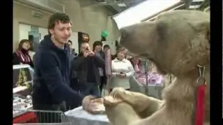 медведь Степа.mpg