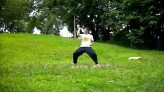 Fu  Jow Pai set one