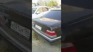 кабанчик