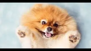 2 часть!! ПОСЫЛКА?!! ОТКУДА ОНА? СМОТРИ В ЭТОМ ВИДЕО!!