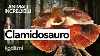 Il bluff del clamidosauro: chi è la lucertola con il mantello e perché Jurassic Park si è sbagliato