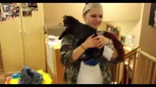 Spiders and  Daughters and Cats Oh My