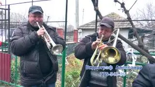Музыканты г. Кодыма