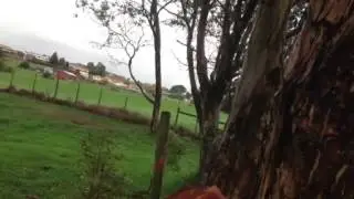 .308 v Swede slow motion