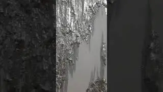 Картина с поталью