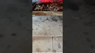 Помпейские печи от Супер Мастера из Дагестана! Телефон в описании.