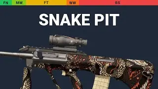 AUG Snake Pit - Skin Float And Wear Preview
