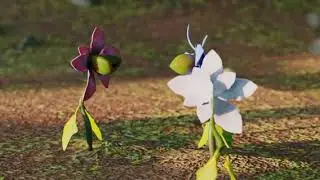 Short Animation in Blender -Cute Flowers