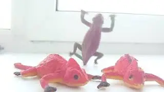 Мой парк юрского периода