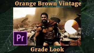How To Color Grade POPULAR Orange Brown VINTAGE Look Under 55 SECONDS In Adobe Premiere Pro