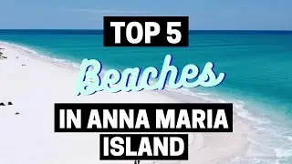 Top 5 Beaches In Anna Maria Island, Florida 🇺🇸 (January 2023)
