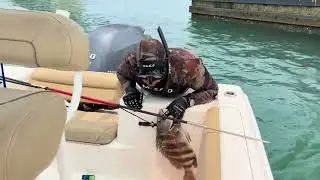 How to use the MAKO QuickOut Penetrator Pole Spear Slip Tip.