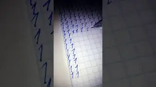 Untitled video