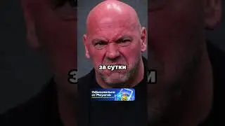 История Хабиб-Тони #ufc #mma