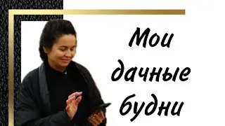 Дачные движения | дачники-удачники | спасли горох