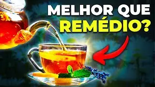 Os REMÉDIOS NATURAIS que a Ciência COMEÇOU A ENTENDER