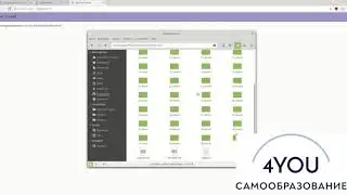 Встроенный веб сервер в PHP7. PHP для начинающих.