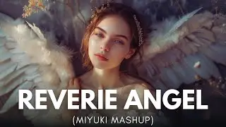 Reverie Angel (MIYUKI Mashup) [Above & Beyond x Gareth Emery]