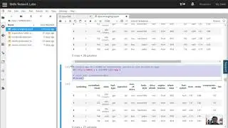 data wrangling with python in jupyter lab and notebook