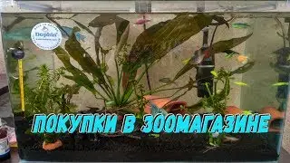 Покупки в зоомагазине\Новые питомцы