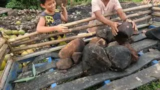 DAPAT LAGYAN NG BATO
