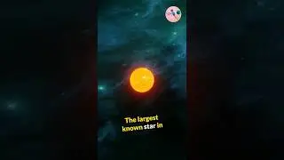 The Largest Known Star in the Universe: Stephenson 2-18