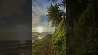 Nature New Video | Dapoli beaches | Konkan beautiful 🤩 | Maharashtra Tourism New video 🌳