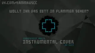 Rammstein - Wollt Ihr Das Bett In Flammen Sehen? (instrumental cover) [Rammstein: Paris]