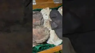 Mola ali ke nalain mubarak ki ziyarat tabaruk pyare nabi ke zubba mubarak  kese jay kamlapuram