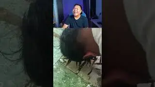 kasih makan ikan 🤣 #shorts