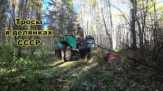 Тросы в делянках СССР. Металлокоп. Поиск места в делянках для металлокопа.