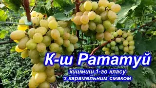 Кишмиш Рататуй 1-го класу з карамельним смаком 2023