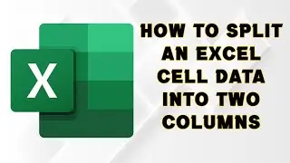 How to split an Excel cell data into two columns